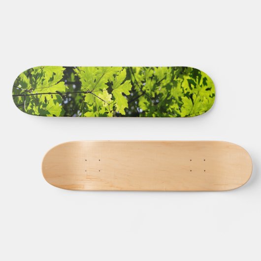 Sonnenblumen-Blätter im Wald Skateboard (Horizontal)