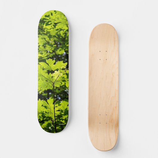Sonnenblumen-Blätter im Wald Skateboard (Vorderseite)