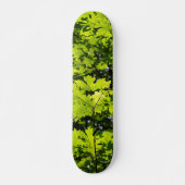 Sonnenblumen-Blätter im Wald Skateboard (Vorne)