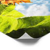 Sonnenblumen Blauer Himmel und Wolken Decoupage Ku Poster (Ecke)