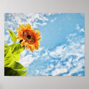 Sonnenblumen Blauer Himmel und Wolken Dekoupage Fi Poster