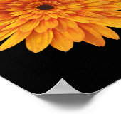 Sonnenblumen Blume Blume Poster (Ecke)