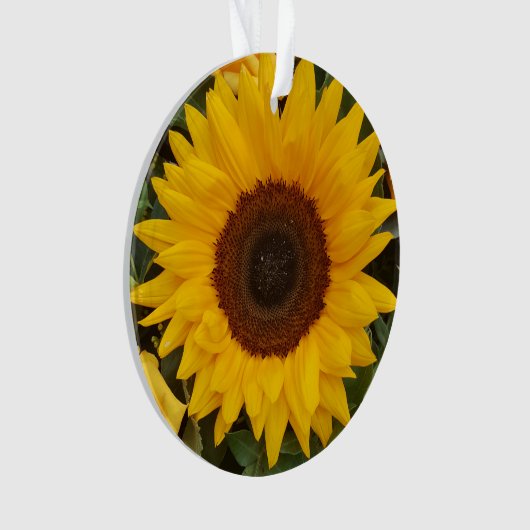 Sonnenblumen Blume Blumenfotografie Ornament (Vorderseite)
