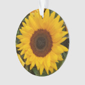 Sonnenblumen Blume Blumenfotografie Ornament (Vorderseite)