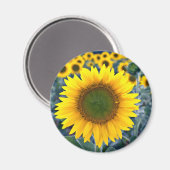 Sonnenblumen Blume Magnet (Vorderseite/Rückseite)
