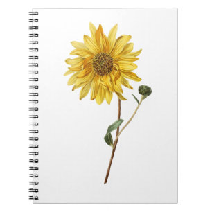 Sonnenblumen Blume Pflanze Blossom Blüte Notizblock