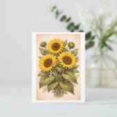Sonnenblumen-Botanische Illustration im Vintage-St Postkarte (Stehend Vorderseite)