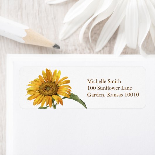 Sonnenblumen-Botanische Rücksendeadresse (Insitu)