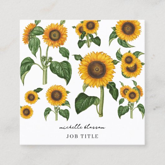 Sonnenblumen Botanisches Blattwerk QR Code Quadratische Visitenkarte (Vorderseite)