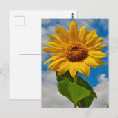 Sonnenblumen Botanisches Paradies Bright Sommer Postkarte (Vorne/Hinten)