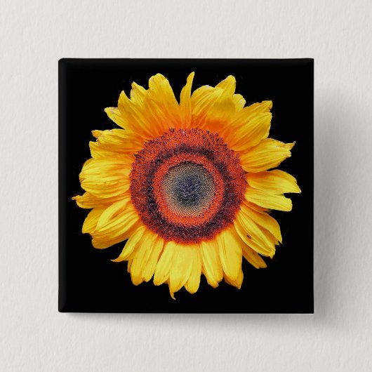 SONNENBLUMEN BUTTON (Vorderseite)