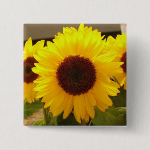 Sonnenblumen Button