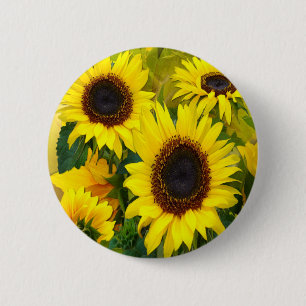 Sonnenblumen Button