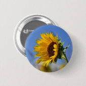 Sonnenblumen Button (Vorne & Hinten)