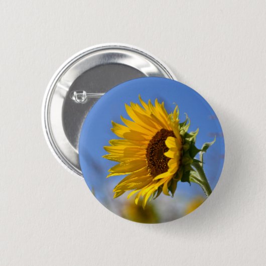 Sonnenblumen Button (Vorne & Hinten)