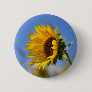 Sonnenblumen Button