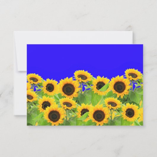 Sonnenblumen Card Ukraine Flaggenfarben - Freiheit RSVP Karte (Rückseite)
