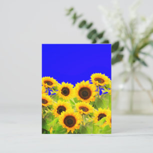 Sonnenblumen Card Ukraine Flaggenfarben - Unterstü RSVP Karte