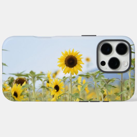 Sonnenblumen Case-Mate iPhone hülle (Rückseite (Horizontal))