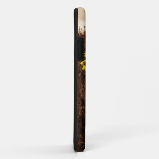 Sonnenblumen Case-Mate iPhone Hülle (Hinten/Rechts)