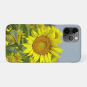 Sonnenblumen Case-Mate iPhone Hülle (Rückseite (Horizontal))