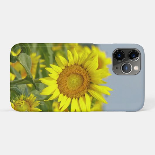 Sonnenblumen Case-Mate iPhone Hülle (Rückseite (Horizontal))