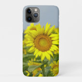 Sonnenblumen Case-Mate iPhone Hülle (Rückseite)