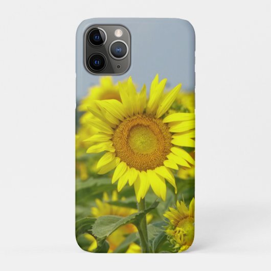 Sonnenblumen Case-Mate iPhone Hülle (Rückseite)