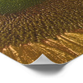 Sonnenblumen Center Farbige Stifte Kunst Poster (Ecke)