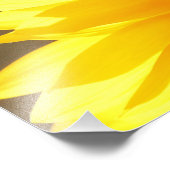 Sonnenblumen Closeup Foto Print (Ecke)