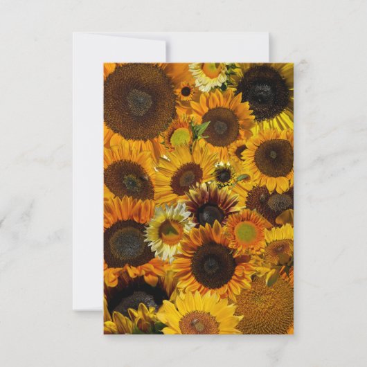 Sonnenblumen Collage  Mitteilungskarte (Vorderseite)