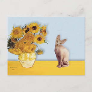 Sonnenblumen - Cream Sphyx Katze Postkarte