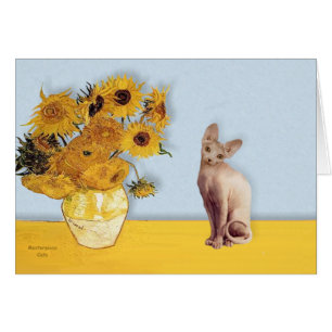 Sonnenblumen - Creme Sphyx-Katze