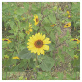 Sonnenblumen, die im Wind blühen, Baumwollmaterial Stoff (Nahaufnahme)