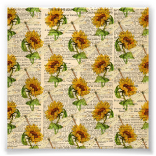 Sonnenblumen Dragonflies Alte Zeitung Country Stil Fotodruck