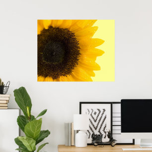 Sonnenblumen-Druck Poster