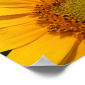 Sonnenblumen drucken poster (Ecke)