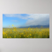 Sonnenblumen, Dünen & Berge, Colorado Poster (Vorne)
