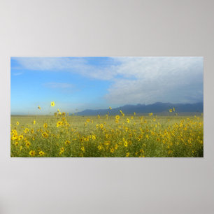 Sonnenblumen, Dünen & Berge, Colorado Poster