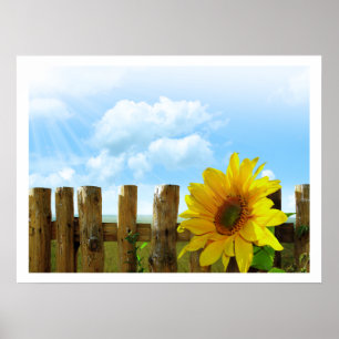 Sonnenblumen durch einen Zaun unter blauem Himmel Poster