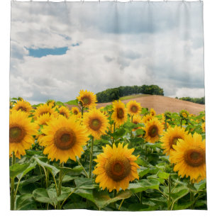 Sonnenblumen Duschvorhang