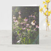Sonnenblumen-Echinacea Karte (Gelbe Blume)