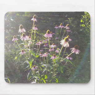 Sonnenblumen-Echinacea Mousepad