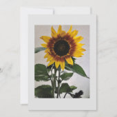Sonnenblumen einfache Karte für handgeschriebene (Vorderseite)