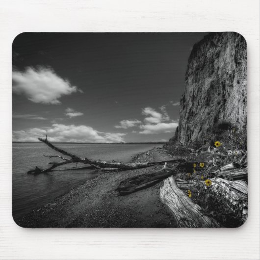Sonnenblumen entlang dem Missouri Mousepad (Vorne)