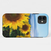 Sonnenblumen-Feld Case-Mate iPhone Hülle (Rückseite (Horizontal))