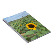 Sonnenblumen-Feldfotografie-Farm Notizblock (Rechte Seite)