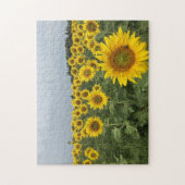 Sonnenblumen Feldfrucht Country Foto Puzzle (Vertikal)