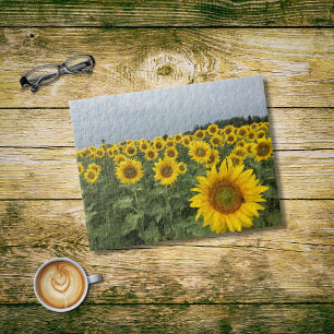 Sonnenblumen Feldfrucht Country Foto Puzzle