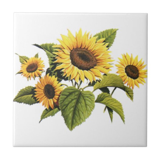 Sonnenblumen Fliese (Vorderseite)